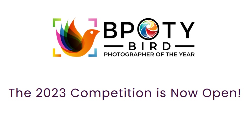 "Bird Photographer of the Year 2023" uluslararası fotoğraf yarışması Fotoğraf Haber
