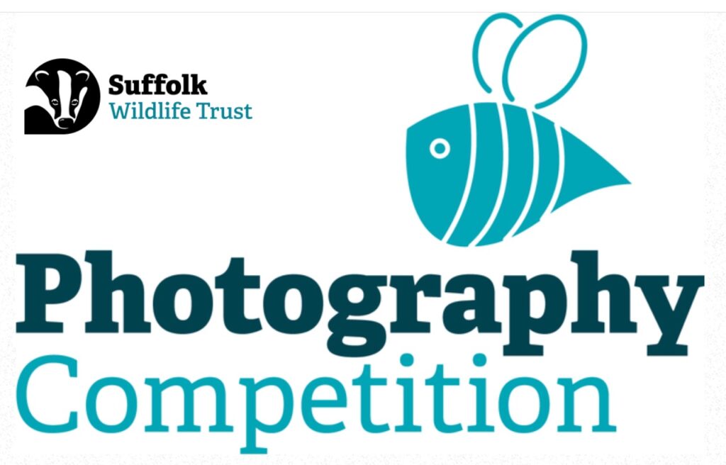 "Suffolk Wildlife Trust Photography Competition 2022" fotoğraf yarışması Fotoğraf Haber