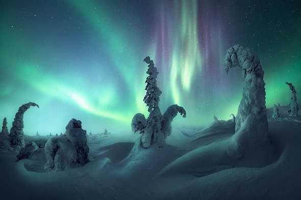 "2022 Northern Lights Photographer of the Year" yarışması kazananları! Fotoğraf Haber
