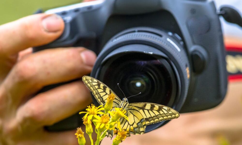 Dijital Fotoğrafçılığın Olmadığı bir Dünya Nasıl Olurdu? Fotoğraf & Video Dersleri