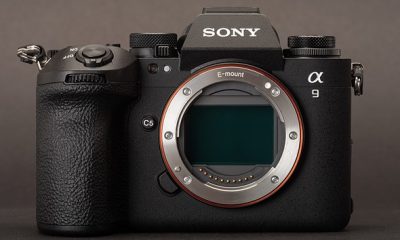 Ürün yazılımı güncellemeleri: Fujifilm, Nikon ve Sony Fotoğraf Yarışması